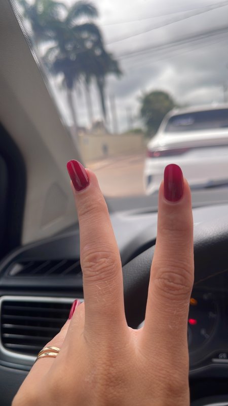 Imagem do post de Karynna Larceda